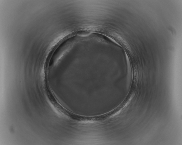 X0000113240674200910011326