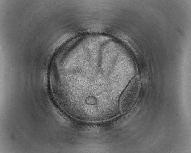 X0000113240677200910011326