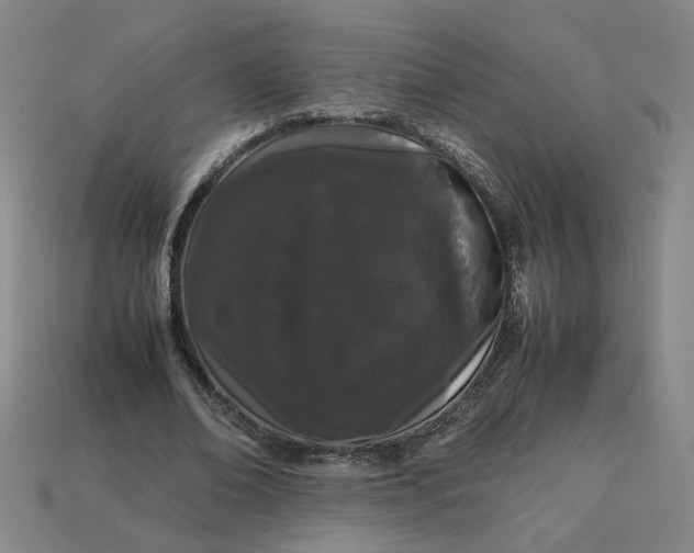 X0000113240678200910011326