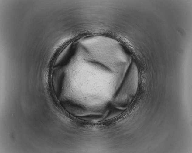 X0000113240679200910011326