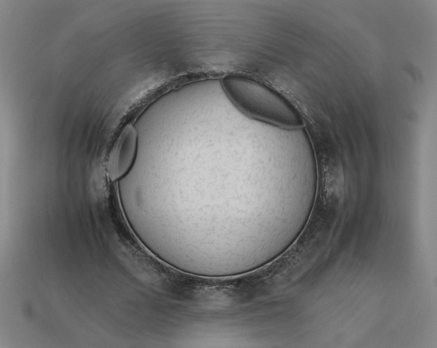 X0000113240680200910011326