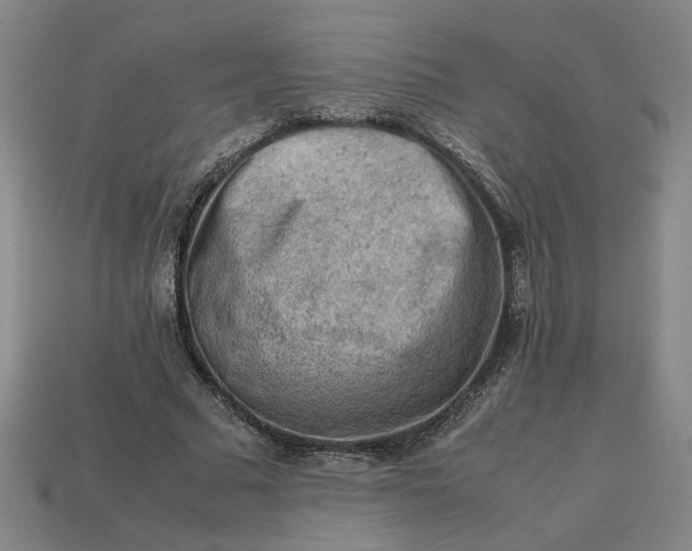 X0000113240681200910011326