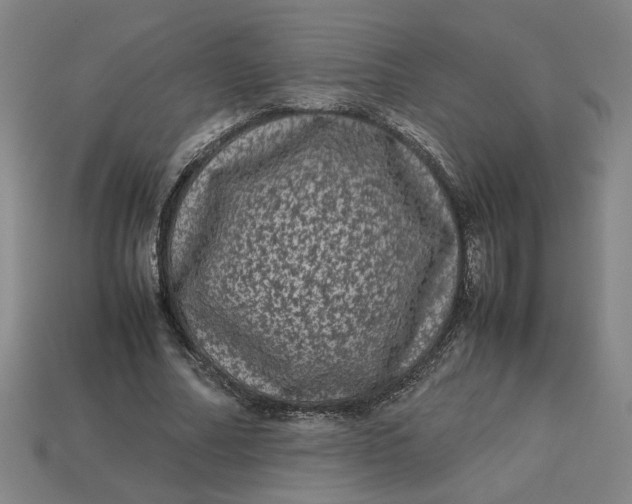 X0000113240682200910011326