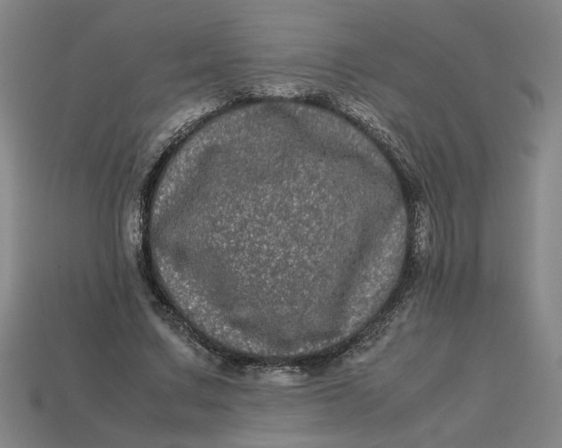 X0000113240683200910011326