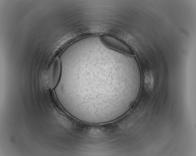 X0000113240684200910011326