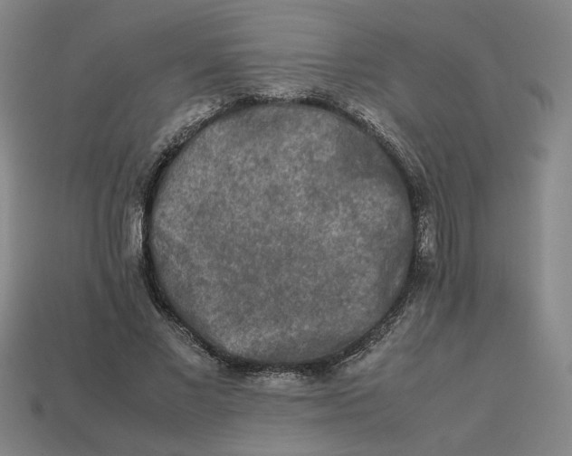 X0000113240685200910011326