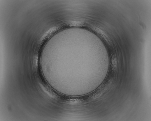 X0000113240686200910011326