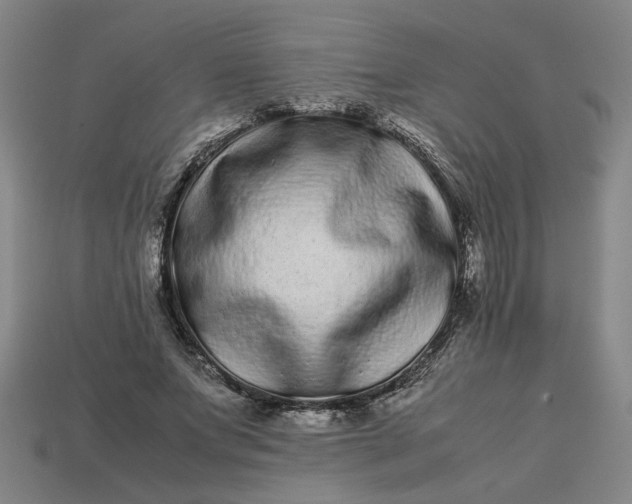 X0000113240687200910011326