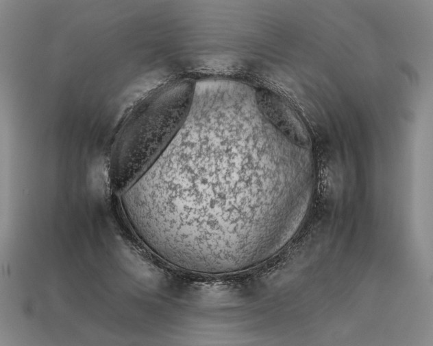 X0000113240688200910011326