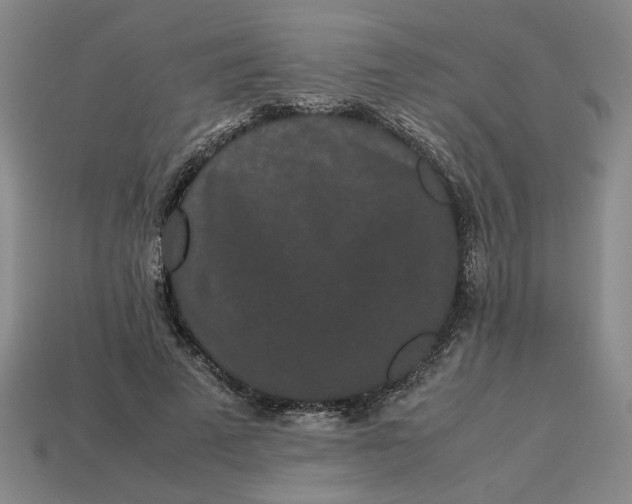 X0000113240689200910011326