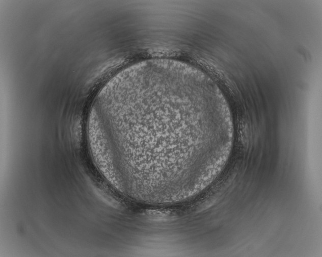 X0000113240690200910011326