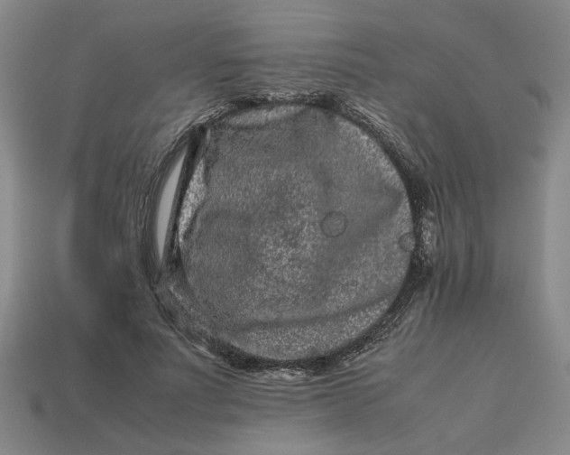 X0000113240691200910011326