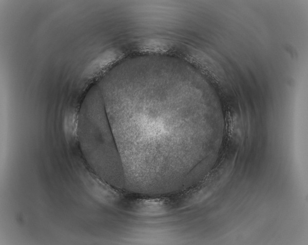 X0000113240692200910011326