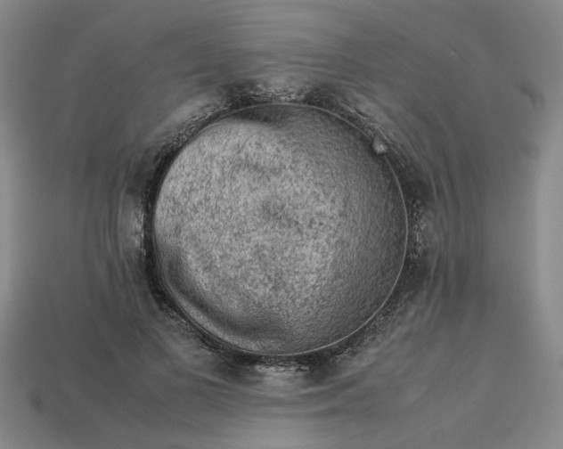 X0000113240693200910011326