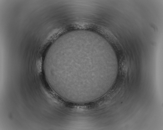 X0000113240694200910011326