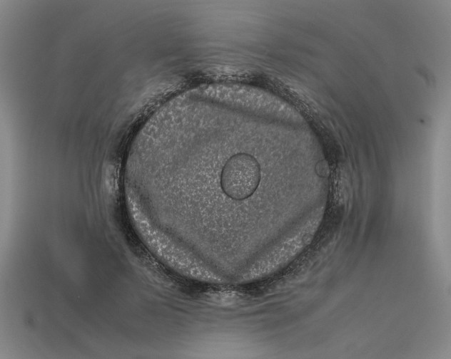 X0000113240695200910011326