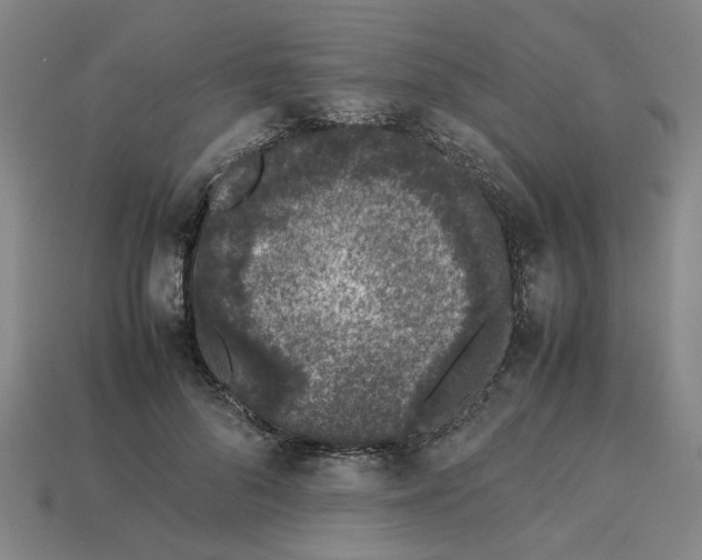 X0000113240696200910011326