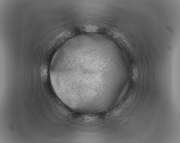 X0000113240697200910011326