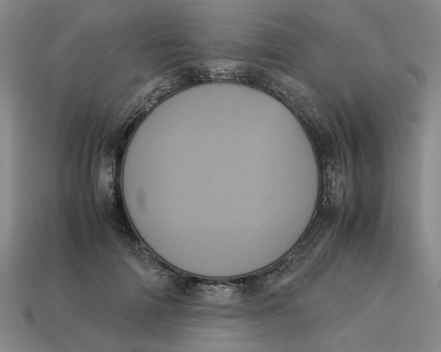 X0000113240698200910011326