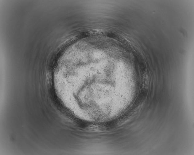 X0000113240699200910011326