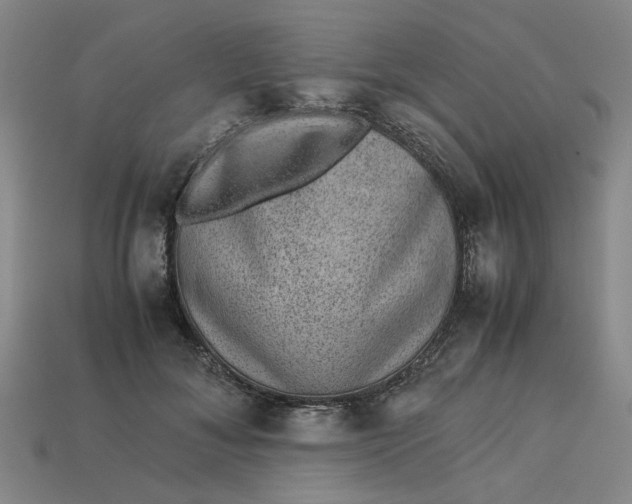 X0000113240700200910011326