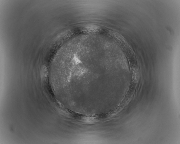 X0000113240701200910011326