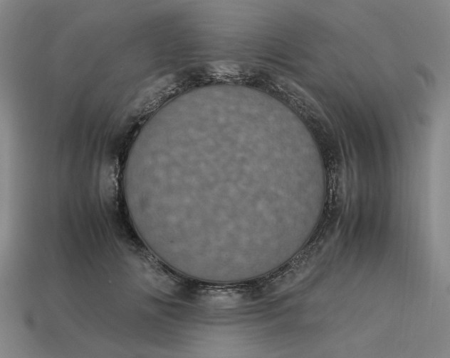 X0000113240702200910011326