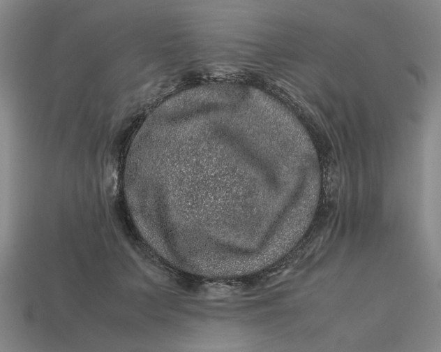 X0000113240703200910011326