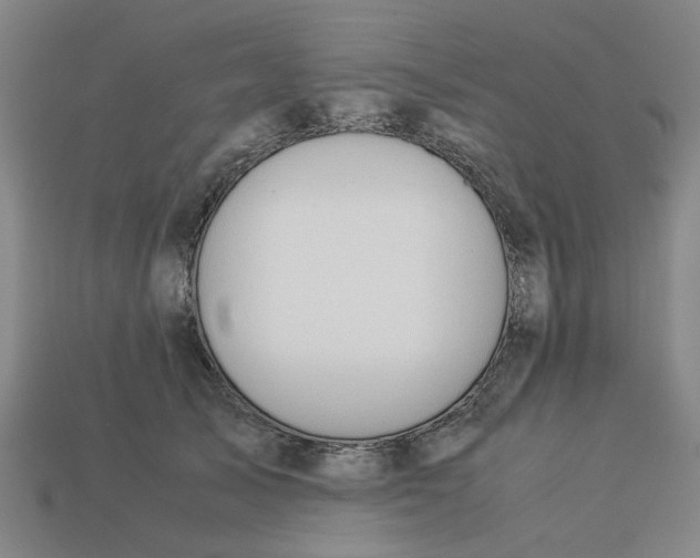 X0000113240705200910011326