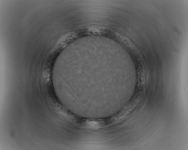 X0000113240706200910011326