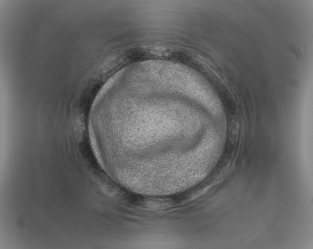 X0000113240707200910011326