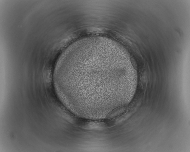 X0000113240708200910011326