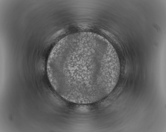 X0000113240710200910011326