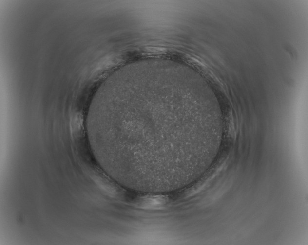 X0000113240711200910011326