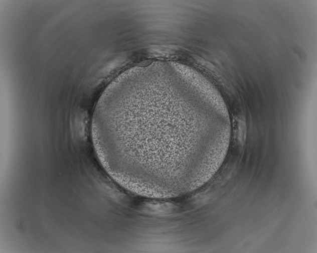 X0000113240712200910011326