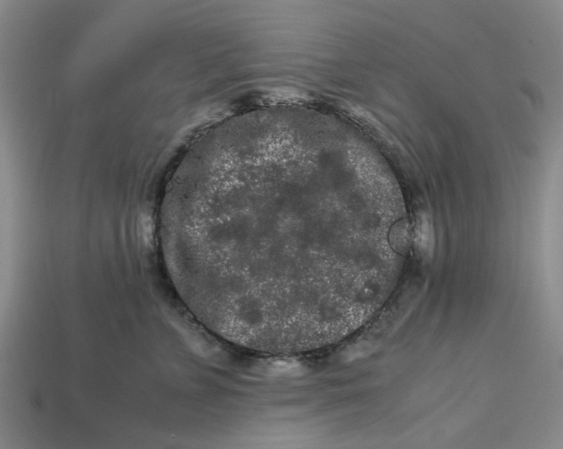 X0000113240715200910011326