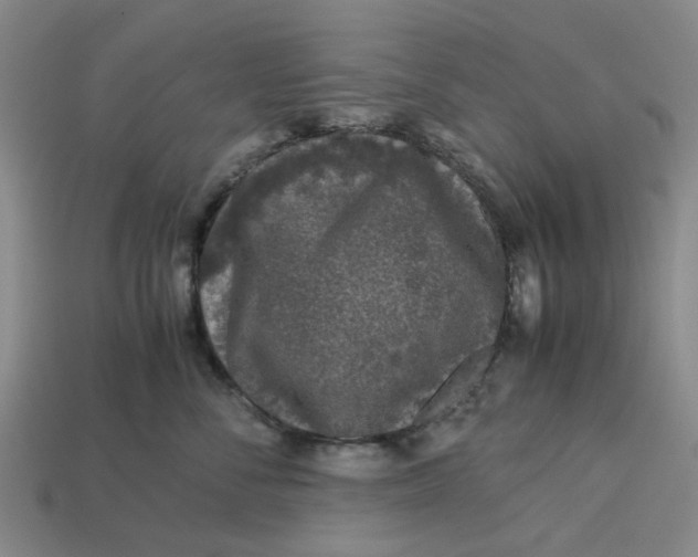 X0000113240716200910011326