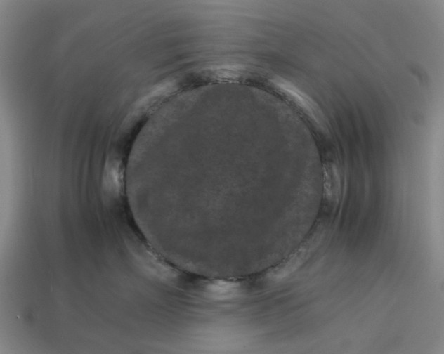 X0000113240718200910011326