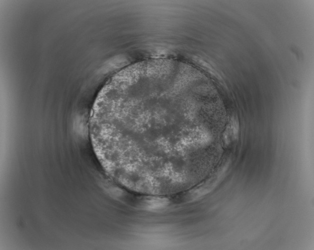 X0000113240719200910011326