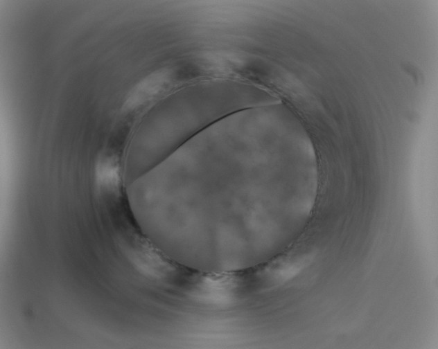 X0000113240720200910011326