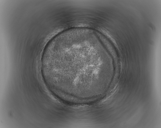 X0000113240721200910011325