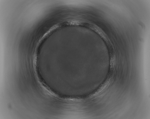 X0000113240722200910011325