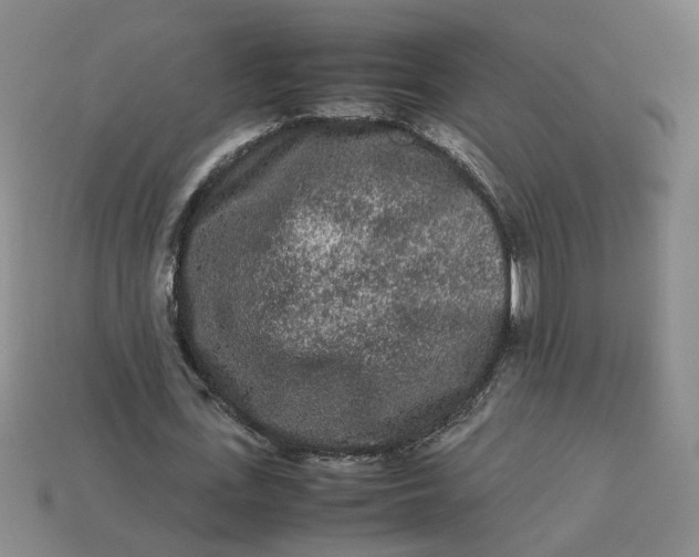 X0000113240723200910011325