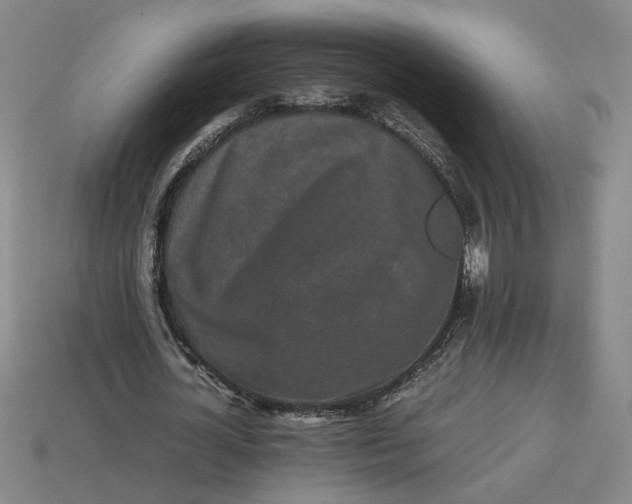 X0000113240724200910011325