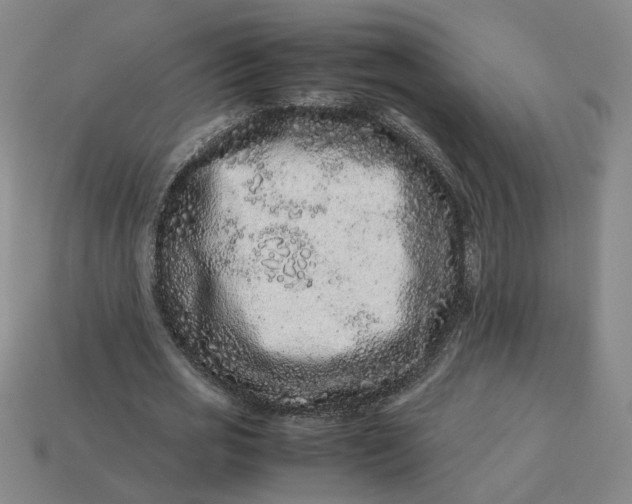 X0000113240725200910011325