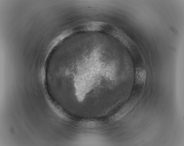 X0000113240726200910011325