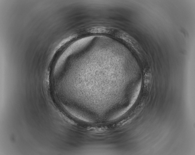 X0000113240727200910011325