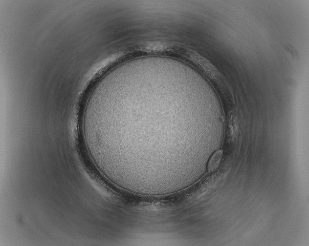 X0000113240728200910011325