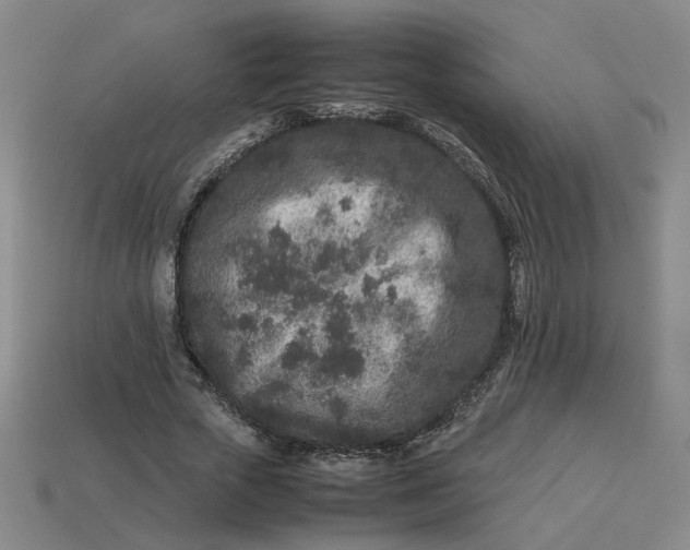 X0000113240729200910011325