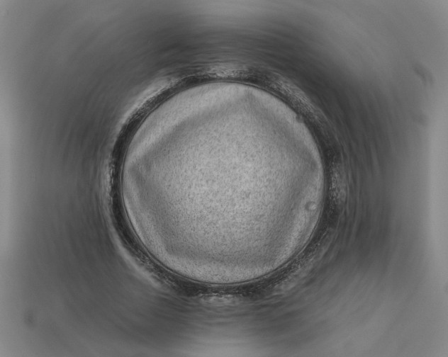 X0000113240730200910011325